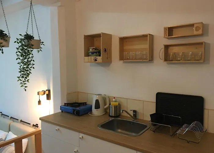 Estudio Albergaria-a-Velha